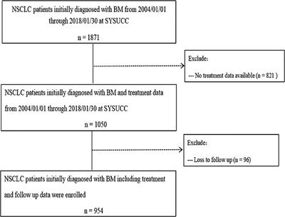 Treatment Patterns and Survival Outcomes of Non-Small Cell Lung Cancer Patients Initially Diagnosed With Brain Metastases in Real-World Clinical Practice